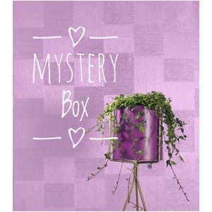 Mystery Box👒